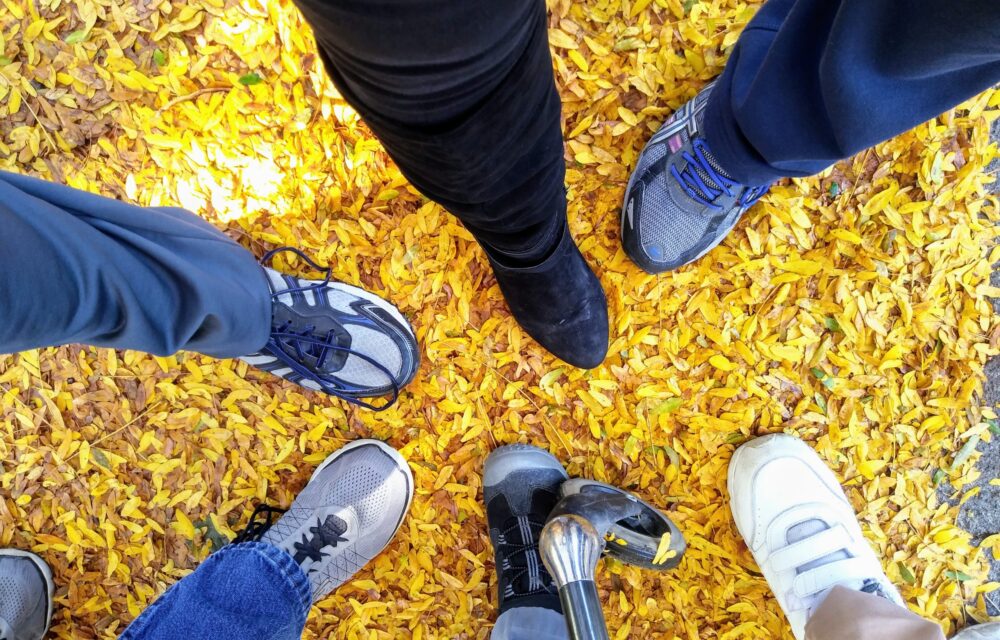 fall walk